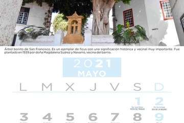  Telde pone en valor su patrimonio vegetal con un almanaque con los árboles más singulares/TA.